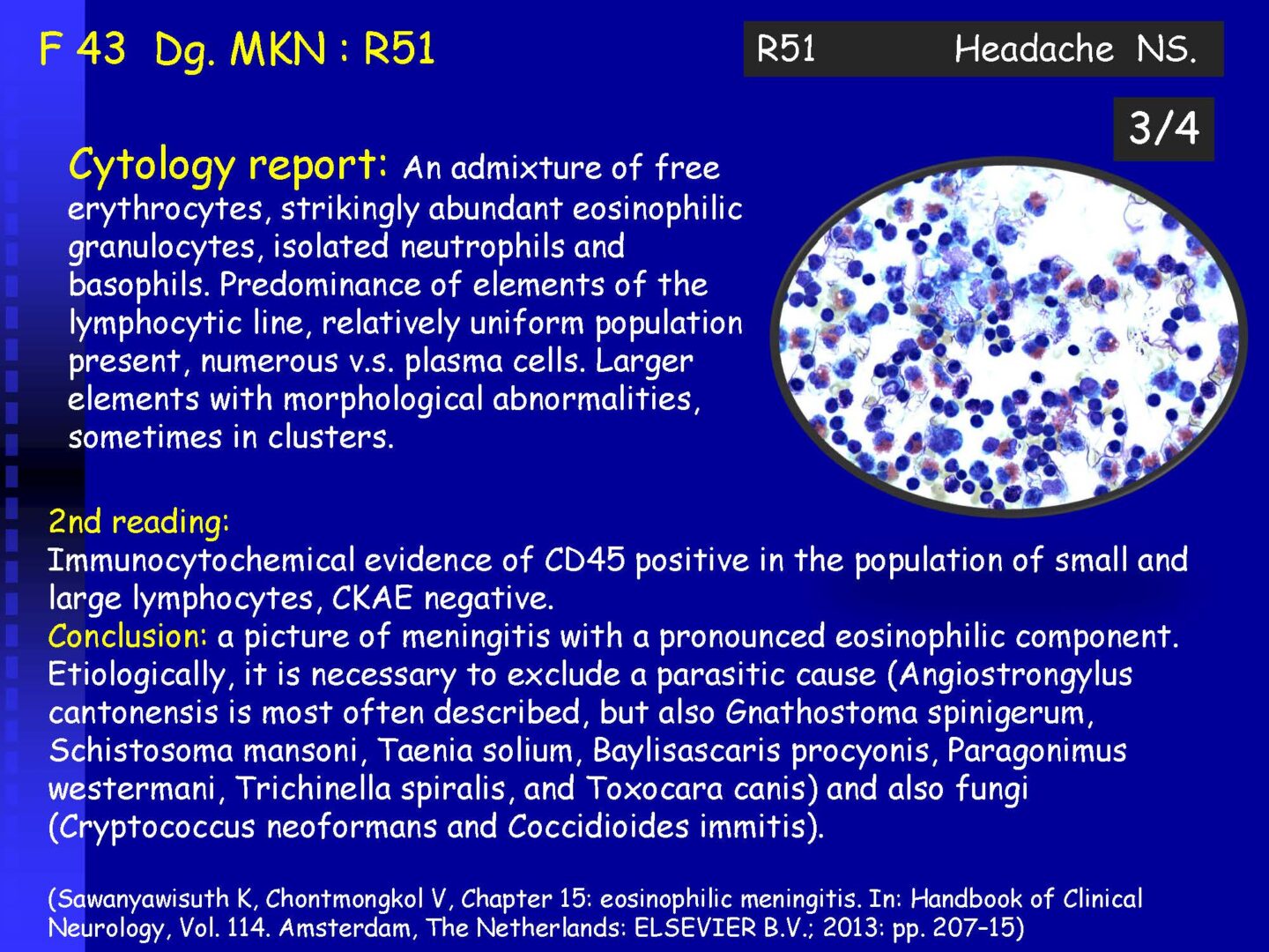 Cytology of the Cerebrospinal fluid - part II_Pagina_14